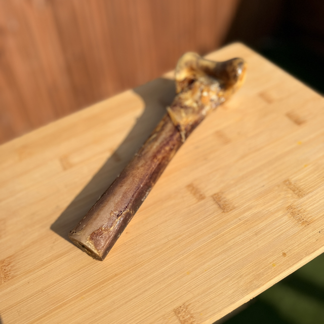 Ostrich Metatarsus Bone