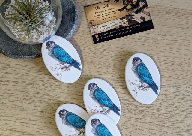 Conure Molinae, Broche Soft Touch ovale