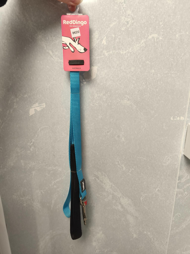 Laisse turquoise  taille: 15mm   longueur : 1.2m