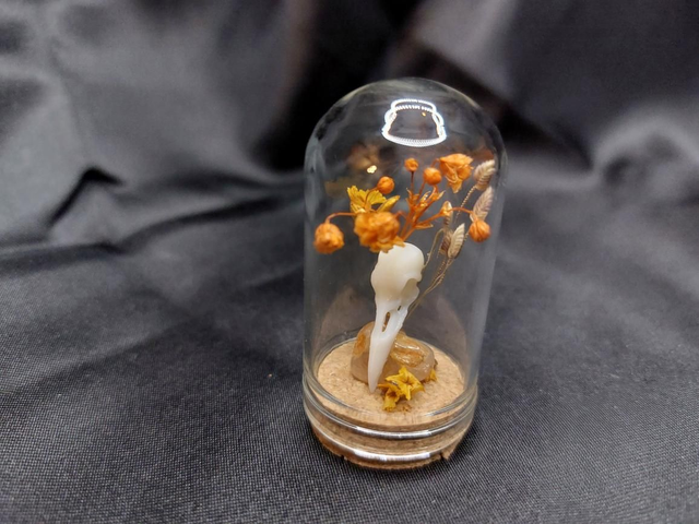 Mini-cloche corbeau orange