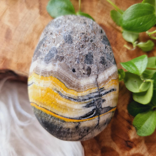 Bumblebee Jasper Palm 