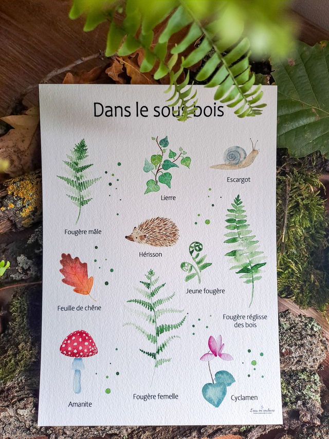 Affiche Fine Art Dans le sous-bois 