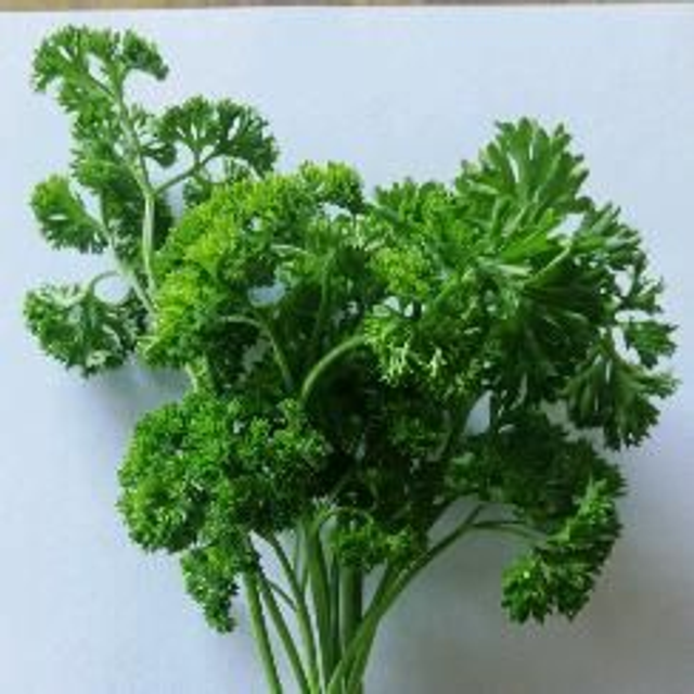 Kräuter Petersilie 100g