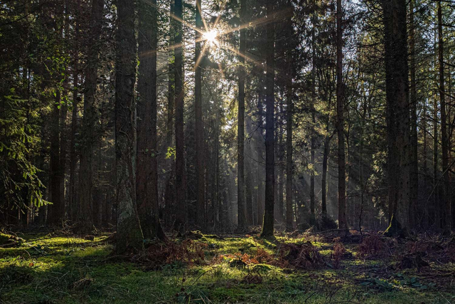 Let there be light FRAMED