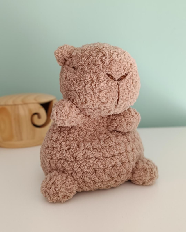 Capybara lesté ✨