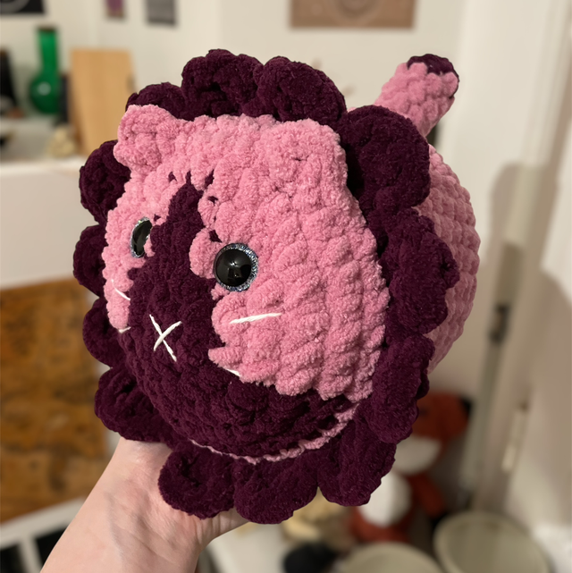 Chat pétales de fleur