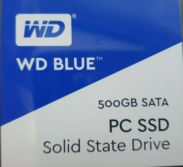 Western Digital Blue 500 GB Solid State Drive 