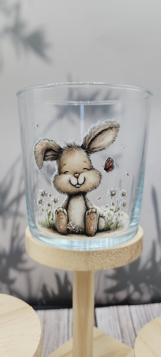 Collection Les Ti compagnons 