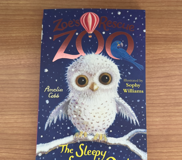 The Sleepy Snowy Owl 