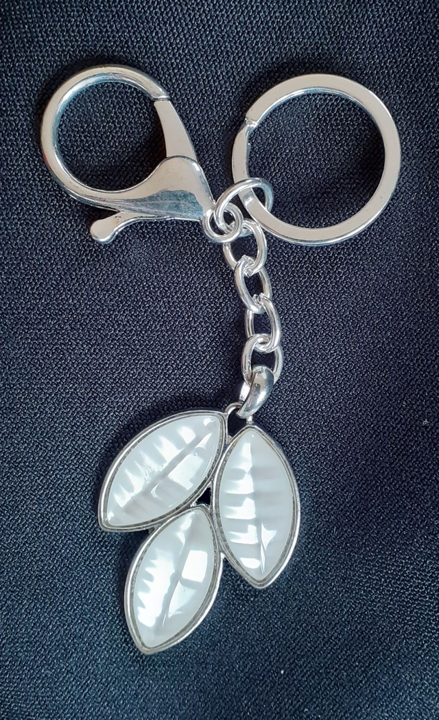 Folium Porte-clés argenté, feuille nacre blanche