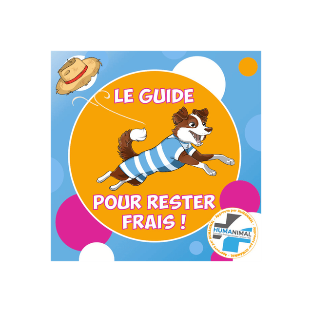 Premiers secours canins Spécial Eté - Guide pour rester frais