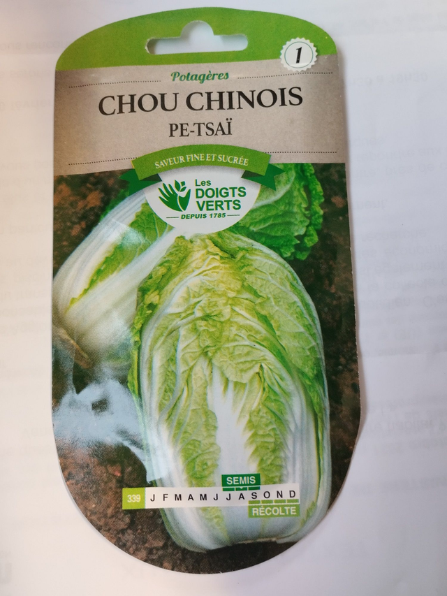 Chou Chinois Pe-Tsai