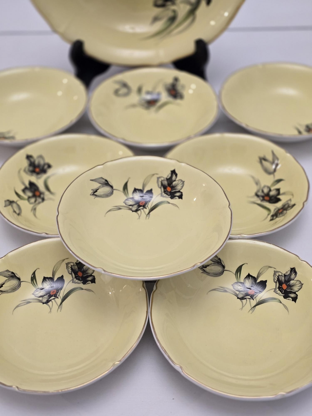 Service à salade de fruits Ceranord Saint Amand