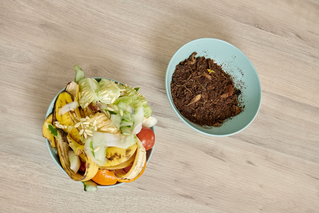 DEMO TEROEKODRY PREMIUM