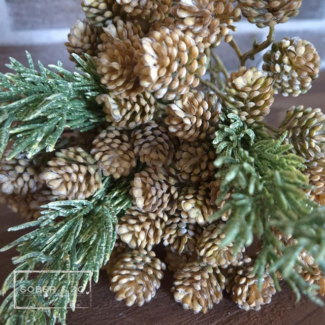 Toef met dennenappels créme