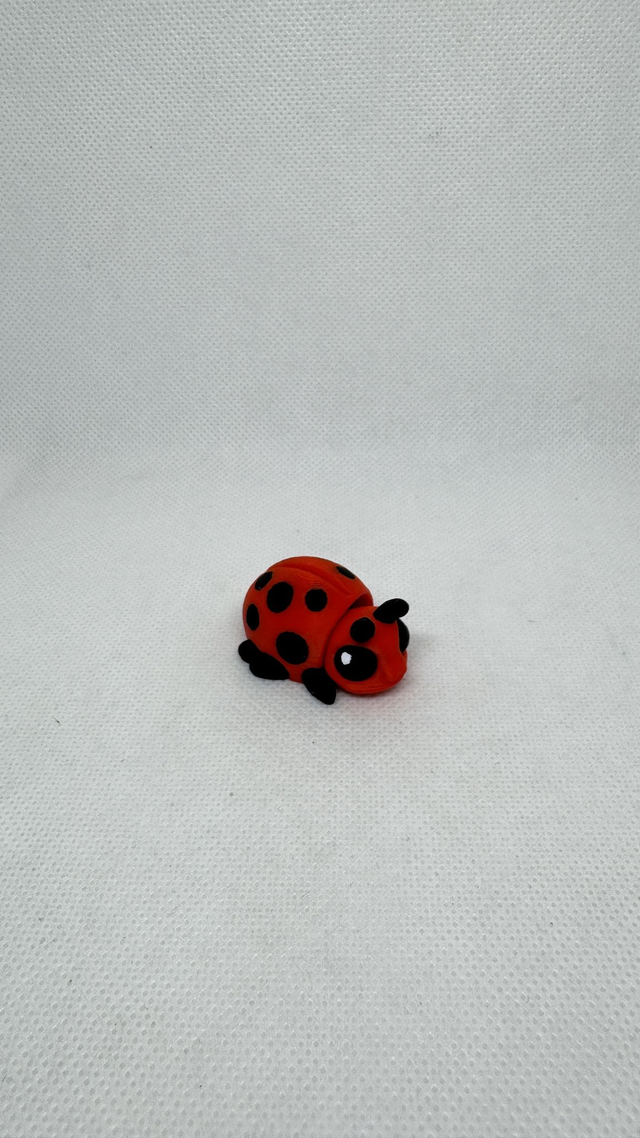 Coccinelle