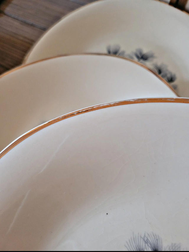 Assiettes plates Ceranord Saint Amand Dax, pommes de pin (par 6)