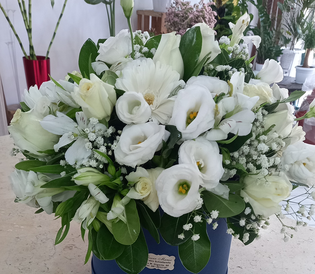 Composizione in box (*Scatola) monocolore 