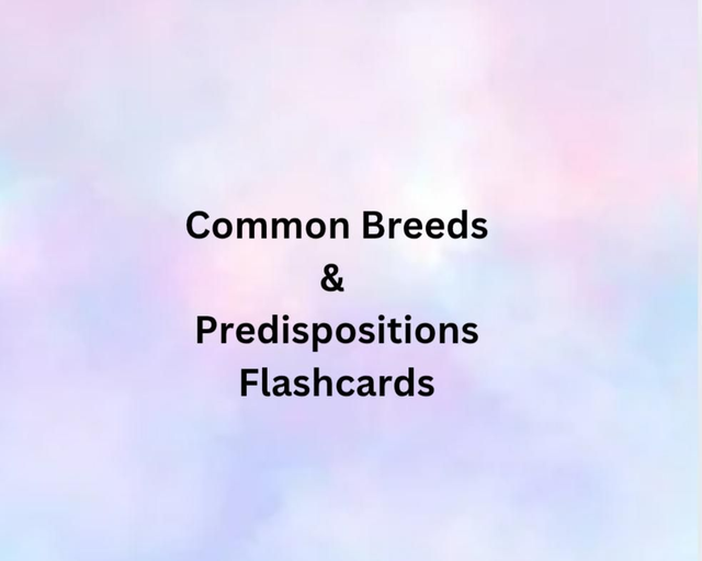 Common Breeds &amp; Predispositions Flashcards