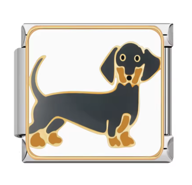 Charm Perrito Dachshund