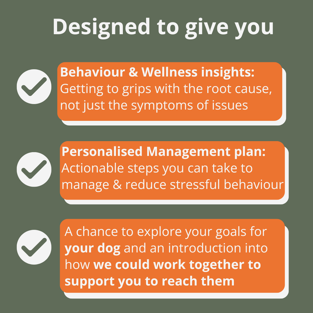 90 MINUTE DEEP DIVE SESSION