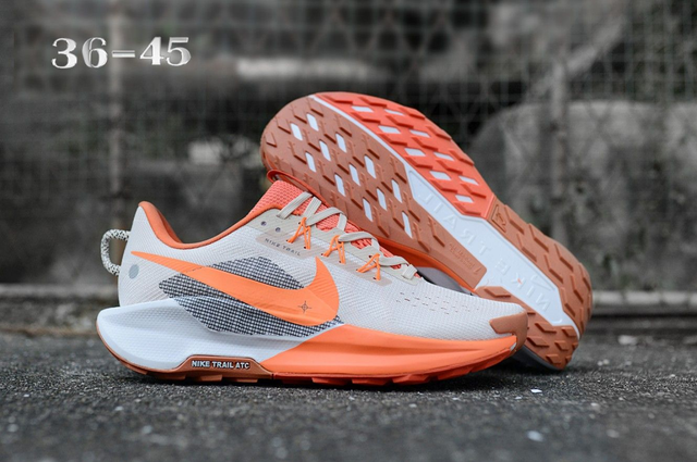 Nike Pegasus Trail 5 (Vendu sans la boîte )