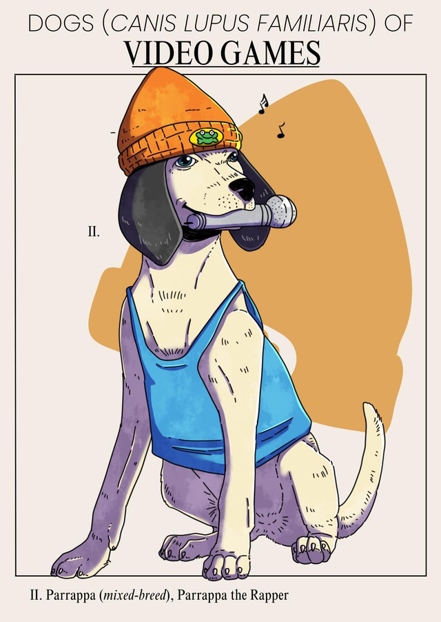 Carte postale - Parappa