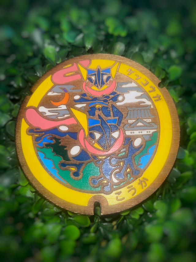 Plaque Pokémon Duo Amphinobi.