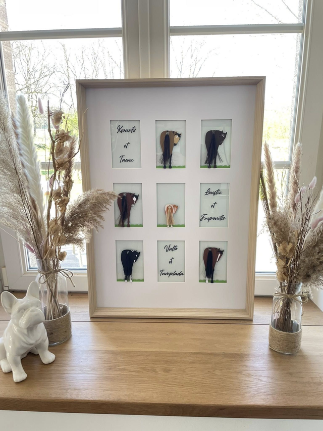 Cadre souvenir cheval personnalisé avec crins 🐴