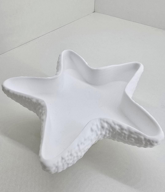 Étoile de mer 