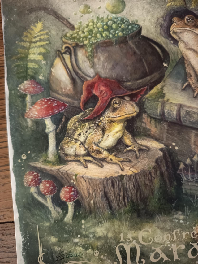 La Confrérie du Marais - Illustrations Fantastique