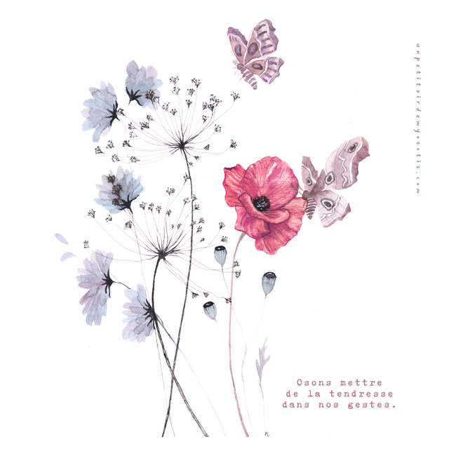 Carte-poème coquelicot et papillons de nuit &quot;osons mettre de la tendresse dans nos gestes&quot;