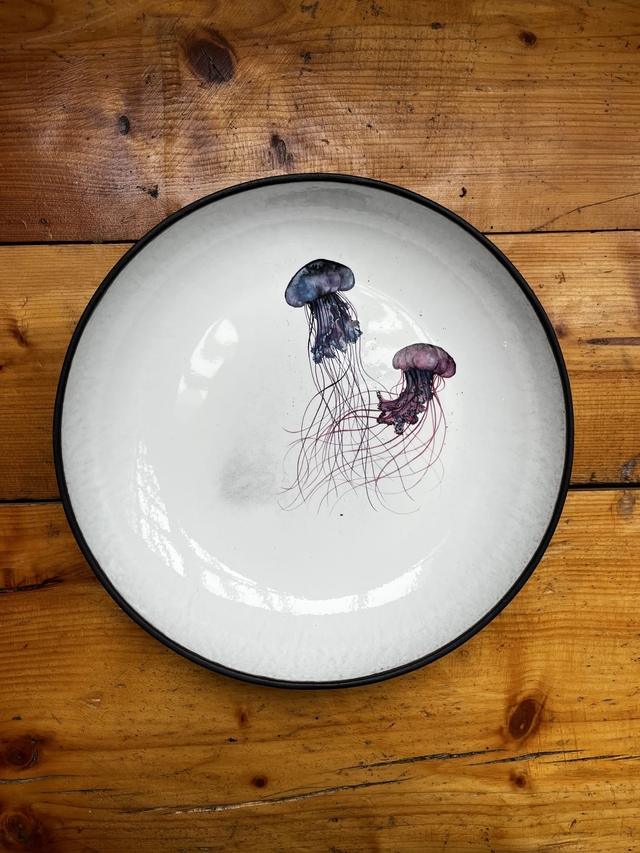 Pastateller 27cm Quallen (MSM)