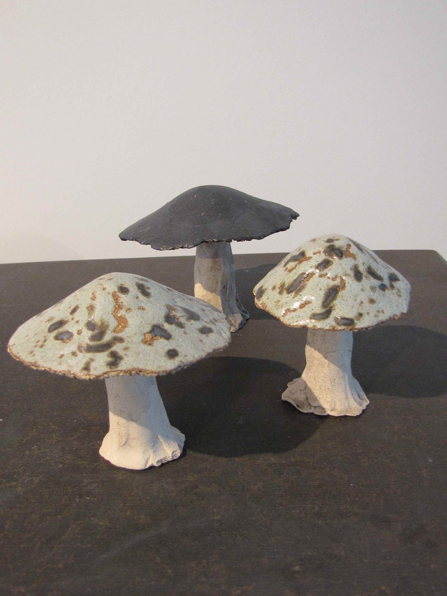 Paddenstoel klein / Mushroom small 