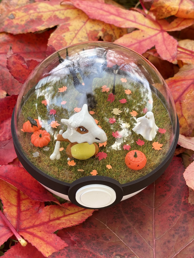 đ Terrarium PokĂ©mon - Ădition Halloween - Osselait