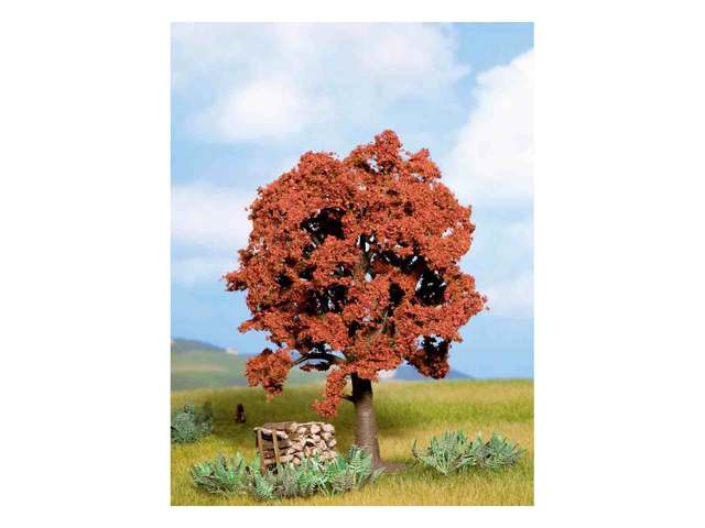 Hêtre commun rouge 13cm Noch 21730