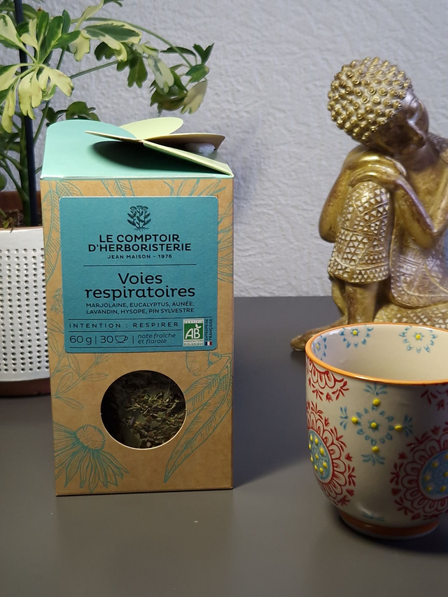 Tisane voies respiratoires bio 60g - vrac