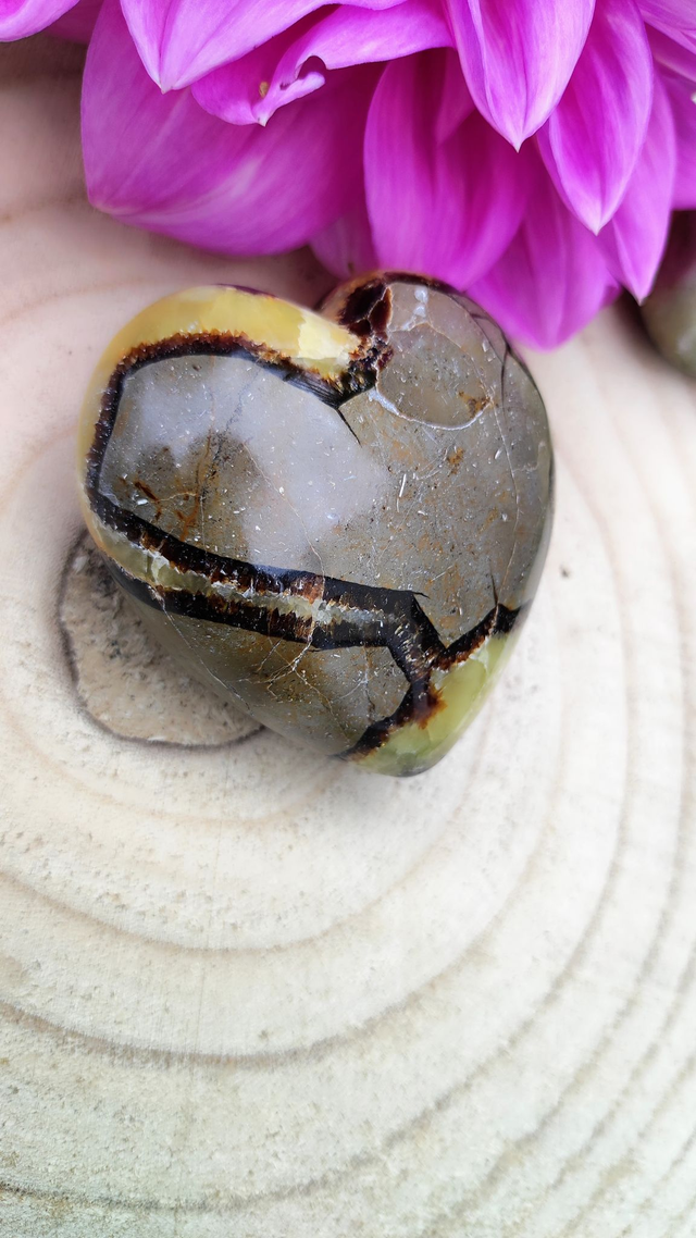 Galet Coeur Septaria A+