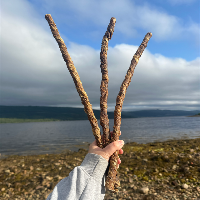 Giant Buffalo Twist