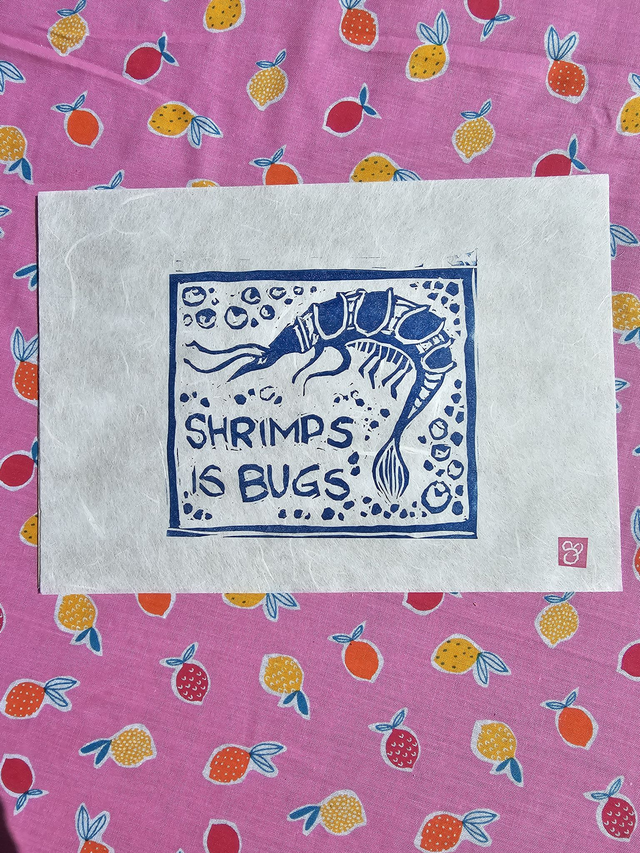 Shrimps is Bugs