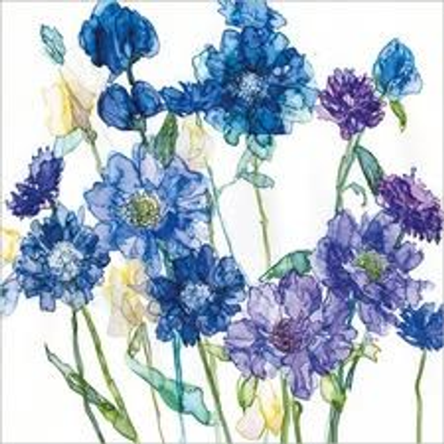 Cornflowers &amp; Scabious A042