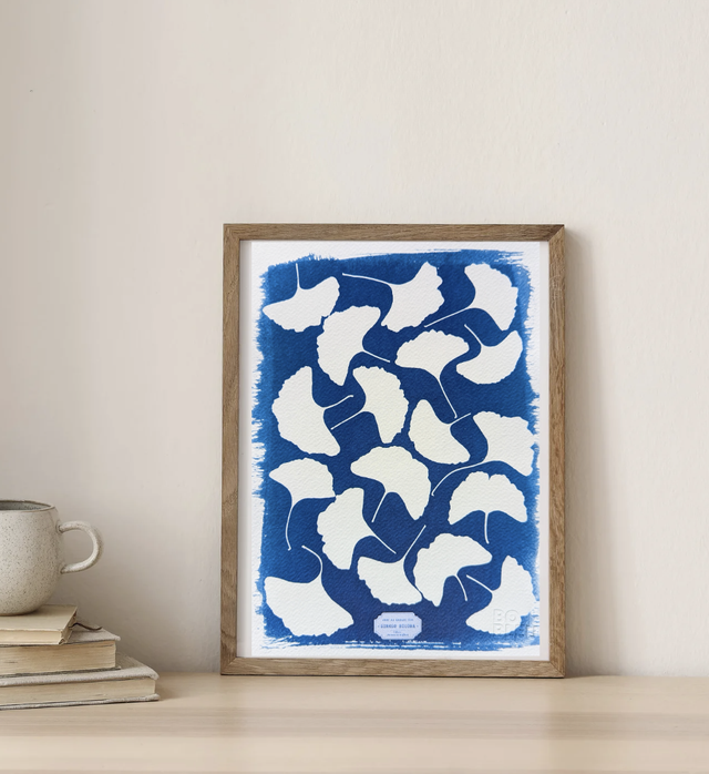 Cyanotype Ginkgo Biloba (A4) - n°379 - sans cadre