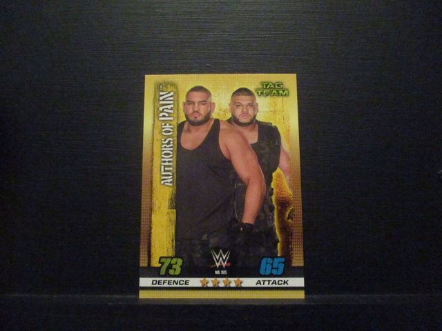 Authors Of Pain - Tag Team Slam Attax 10th Edition Original Trading Card #321