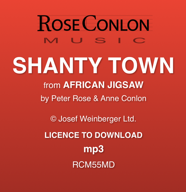 SHANTY TOWN   (from African Jigsaw by Peter Rose &amp; Anne Conlon)