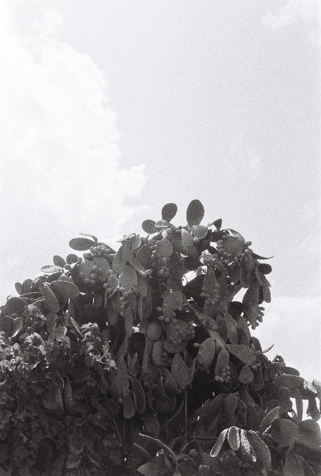Tirages Argentiques Crète - La Beauté d'une Île en 10x15