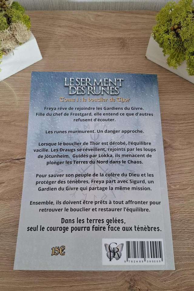 Le serment des runes - Tome 1 : Le bouclier de Thor