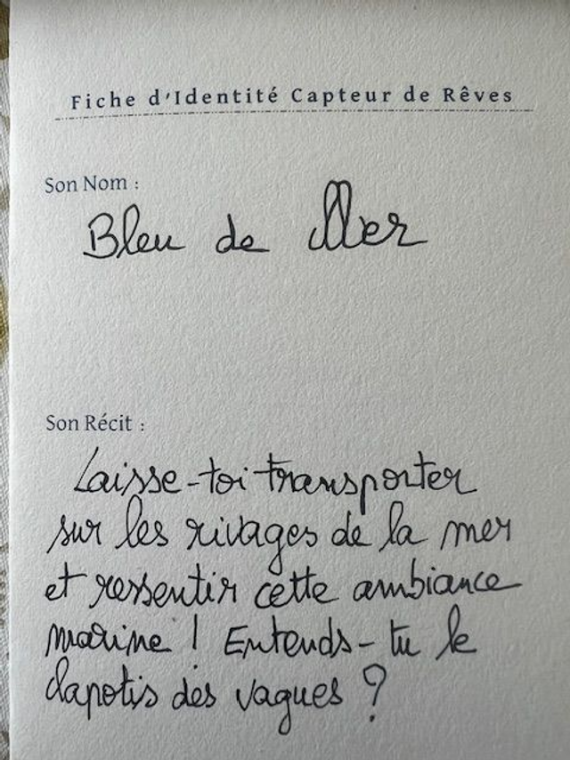 Bleu de Mer (ce Capteur de Rêves a été adopté)