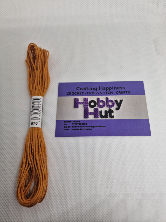 Embroidery Thread - 976