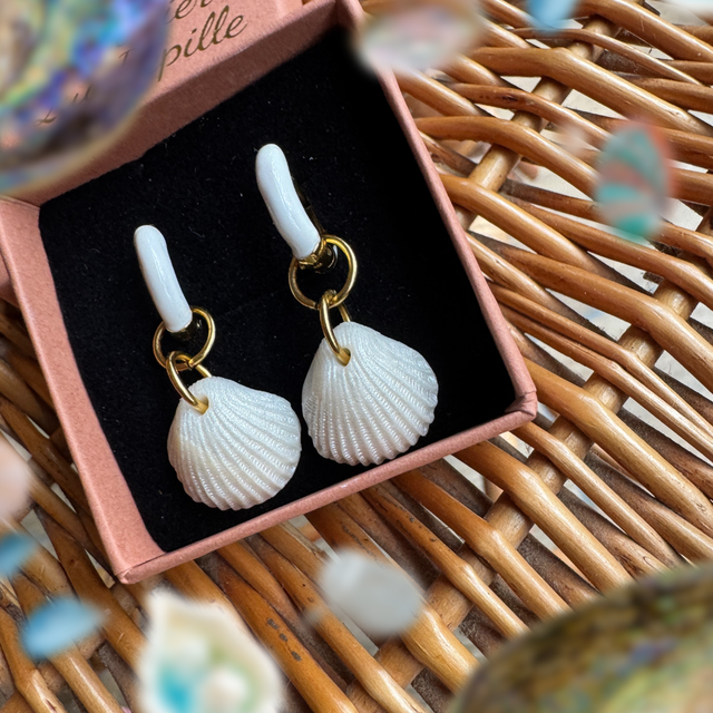 Coquillages