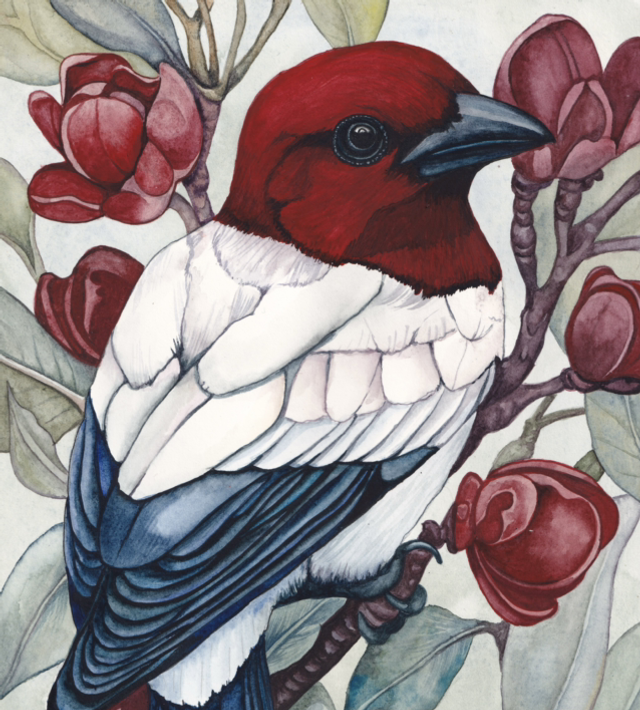 Crimson Headed Bird - Lisa Lennon